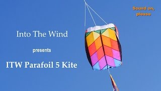 Into The Wind Parafoil 5 Kite [upl. by Crandell540]