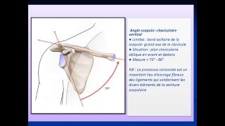 ANATOMIE MS Articulation acromio claviculaire [upl. by Alves18]