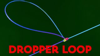 Fishing Knots Tutorial  ANGLERS FAVORITE KNOT  How to tie a dropper loop knot [upl. by Kora250]