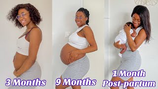 ÉVOLUTION DE GROSSESSE 🤰🏽 MOIS PAR MOIS ❤️  PREGNANCY BELLY PROGRESSION ❤️ DALHIAILOVEYOU [upl. by Disini]