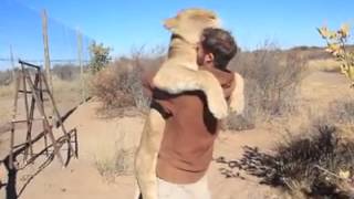 Amazing man and lion friendship [upl. by Rosalind]