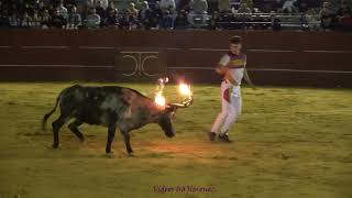 Cariñena Zaragoza  Noche  Emboladores y Cortes 03062023  HD [upl. by Calva561]