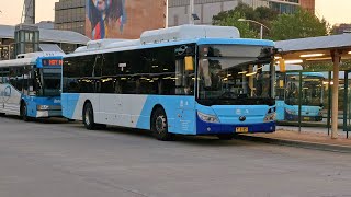 Interline Bus Service MO 8185  Yutong E12 ZK6131HGE Electric [upl. by Hoj579]