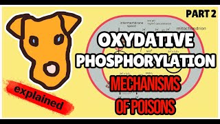 Oxidative Phosphorylation Poisons Biochemistry for Step 1 [upl. by Julieta]