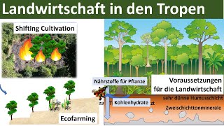 Landwirtschaft in den Tropen Zusammenfassung  Erdkunde Oberstufe Abitur [upl. by Gnaht]