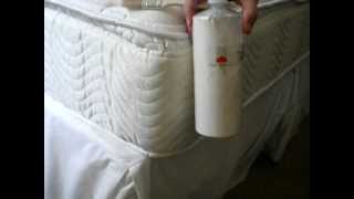 Killing Bedbugs Naturally Using Diatomaceous Earth [upl. by Simpkins]