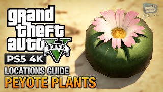 GTA 5 PS5  Peyote Plants Location Guide Play as an Animal [upl. by Highams]