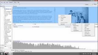 Foobar 2000 tutorial Instalacion y Customizacion basica Parte 2 [upl. by Nnahgiel]