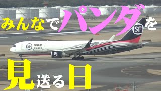 【成田空港】成田が限りなく美しい涙で飾られた日！ジャイアントパンダ・シャンシャン離日のひとコマを追った！ [upl. by Sallad]