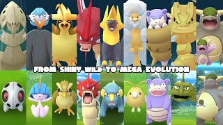 Catching these wild shiny pokemon in Pokemon GO and mega evolve them PART 1 [upl. by Om]