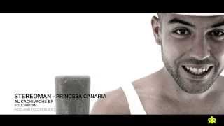 STEREOMAN ft DJ ARROCIN  PRINCESA CANARIA  VIDEO OFICIAL  AL CACHIVACHE  RICELAND RECORDS 2013 [upl. by Iliak]