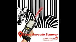 Barcode Scanner from Zebra barcodescanner [upl. by Adella271]