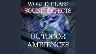 Leaves Rustling in Wind Foley Leaf Forest Sound Effects Sound Effect Sounds EFX Sfx FX Natural [upl. by Ob208]