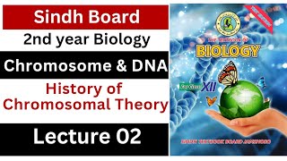 History of chromosomal theory  chromosome and DNA  class 12 biology Sindh board New book [upl. by Cordy]