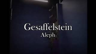 Aleph  Gesaffelstein Slowed  Reverb [upl. by Myk]