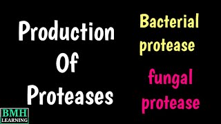 Production Of Protease  Industrial Production Of Protease  Microbial Production Of Protease [upl. by Llertal979]