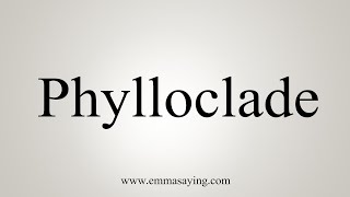 How To Say Phylloclade [upl. by Hort]