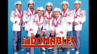 Los Indomables de Cedral  La ausencia de tu amor [upl. by Erdah]