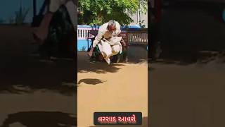 Comedy no katako gujarati funny comedy varsad aavase gujarati comedy [upl. by Assertal]