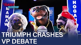 Triumph the Insult Comic Dog Crashes the PostVP Debate Spin Room  The Daily Show [upl. by Enilamme]