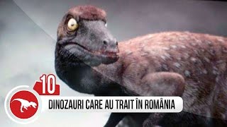 TOP 10 DINOZAURI CARE AU TRAIT IN ROMANIA [upl. by Al]