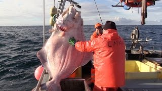 Faroese Commercial Fishing  The Voyage of Liraberg TN 213 [upl. by Aeneus]