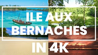 Ile Aux Bernaches Mauritius in 4K [upl. by Aunson]