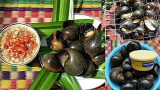 Grilled Butter Snails with Spicy Pepper Sauce  Awesome Cooking Recipe [upl. by Lathan25]