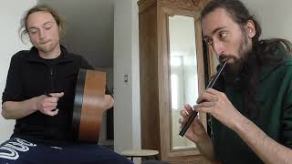 Leitrim Fancy  The Blackbird  Traditional Irish Hornpipes on the Tin Whistle [upl. by Ayalahs]