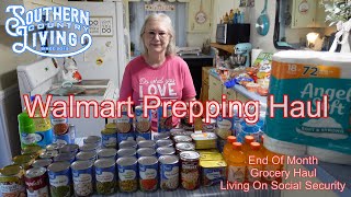 Walmart Prepping Haul and Weekly Grocery Haul  End Of The Month Prep  Living On Social Security [upl. by Ainatnas]