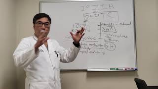 Secondary Causes of Pseudotumor Cerebri [upl. by Alina]