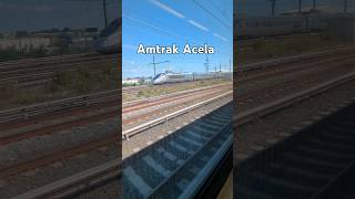 Amtrak Acela at Harold Interlocking [upl. by Oikim]