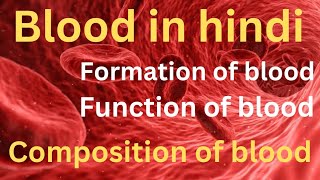 Blood anatomy and physiology in hindi  function of blood RBC  WBC  Platlets [upl. by Fidelity14]