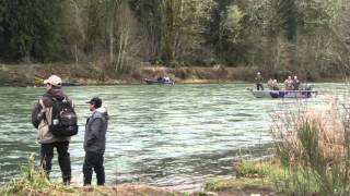 Winter steelhead fishing scenes from Cowlitz River [upl. by Lledualc]