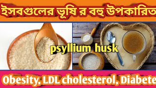 BENEFITS OF PSYLLIUM HUSK ইসবগুলের ভুষির পাঁচটি গুরুত্বপূর্ণ উপকারিতা  Wellness with Sumita [upl. by Huntlee960]