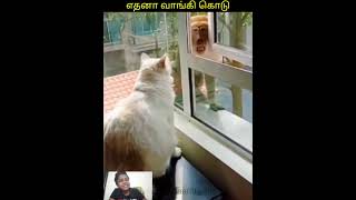 🍺😾கூலிங் பீர் எதுக்கு குடிச்ச😸😁animalmindvoice trendingvideo shortvideo viralvideo [upl. by Babita]