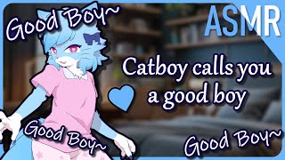 Furry ASMR 💙 Youre such a Good Boy M4MAffirmationsHeadpats [upl. by Euh823]