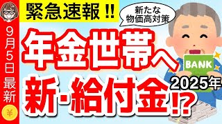 【9月5日最新】政府から年金世帯へ新給付金！？全国民へ食品クーポン家賃補助など2025年新たな物価高対策について解説【低所得・年金受給者】 [upl. by Ahsaelat]