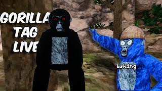 Gorilla Tag Live With Viewers [upl. by Nwahsit]