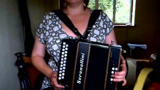 Chords Em D C Am Bm Beginners DG MelodeonDiatonic Button Accordion  Mel Biggs [upl. by Porter]