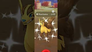 When I Got Golden ✨Shiny Hyena in pokemongo [upl. by Hselin]