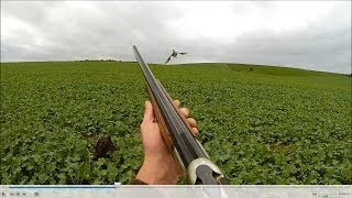 Concours Saint Hubert partie 1 départemental  chasse du faisan au chien darrêt braque allemand [upl. by Sitelc]