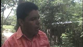 Walter Zambrano quotDETEN TUS PASOSquot [upl. by Bluh]