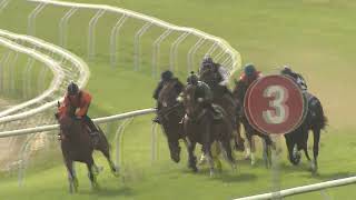 Heat 8 Doomben Jumpouts 1009 [upl. by Beattie]