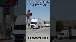 TRUCK SPOTTING 00960  FREIGHTLINER automobile semitrailer trucking [upl. by Ellemrac568]