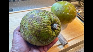 How to Peel and Core a Breadfruit StepbyStep Guide for Beginners  CaribbeanPotcom [upl. by Helsa]