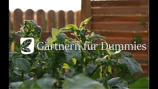 Gartenrundgang Juni 17  Gärtnern für Dummies [upl. by Beka]