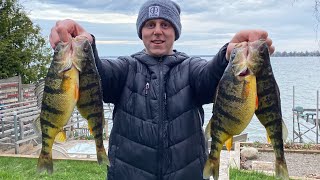 Spring 2023  Lake Simcoe Perch Fishing [upl. by Ellecrag]