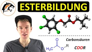 ESTERBILDUNG – Reaktionsmechanismus  Saure Esterhydrolyse  Chemie Tutorial [upl. by Eteragram]