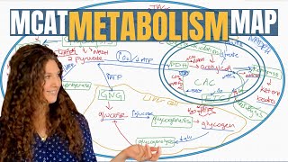 MCAT Biochemistry The 13 Metabolic Pathways Explained [upl. by Anit]